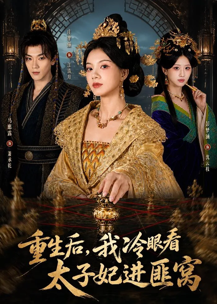 重生后,我冷眼看太子妃进匪窝