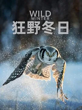 狂野冬日第一季