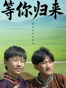 等你归来2025