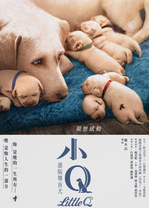 小Q粤语