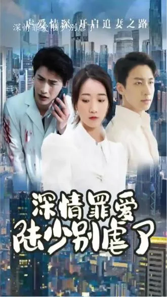 深情罪爱,陆少别虐了