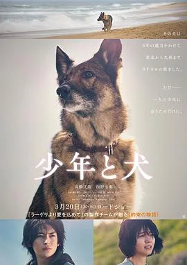 少年与犬