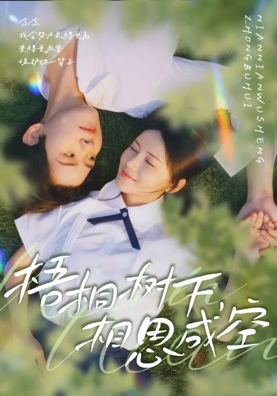 梧桐树下,相思成空