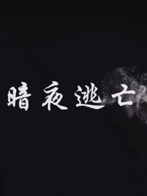 暗夜逃亡
