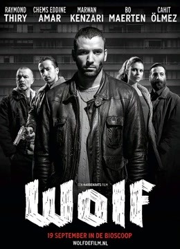 狼(2013)