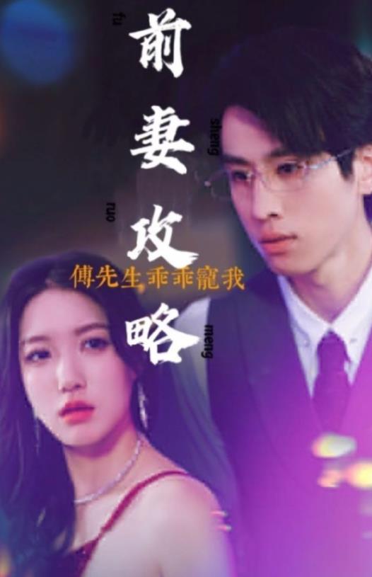 前妻攻略:傅先生乖乖宠我