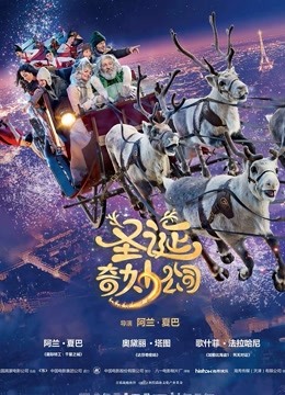 圣诞奇妙公司国语