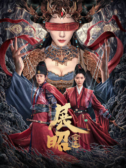 展昭探案